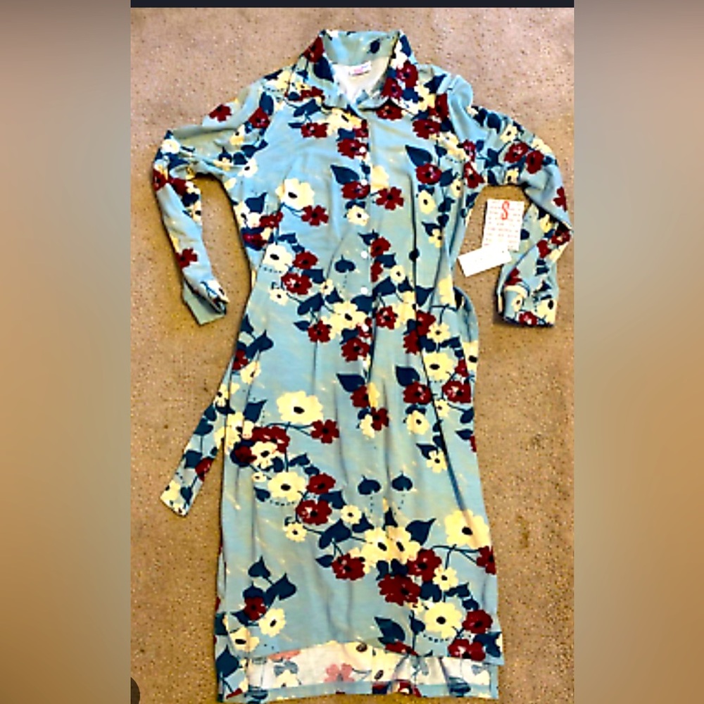 Beautiful button down lularoe dress and Steve Madden Shoes